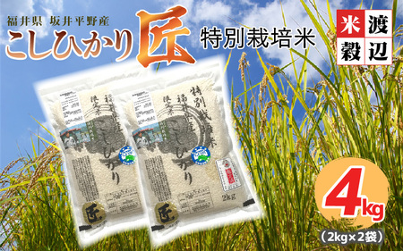 【令和6年産・新米】（玄米） 農薬・化学肥料不使用 コシヒカリ匠 4kg (2kg × 2袋) [A-2964_02]