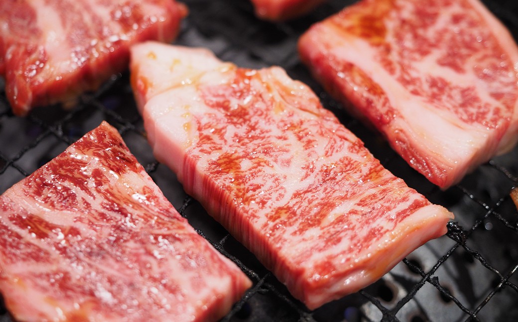 【訳あり】【A4～A5】 長崎和牛 焼肉切り落とし （肩ロース・バラ） 約500g