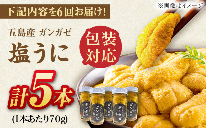 【全6回定期便】厄介うに ガンガゼの塩うに 70g×5本 / ウニ 雲丹 五島市 / うた丸 [PGA007]