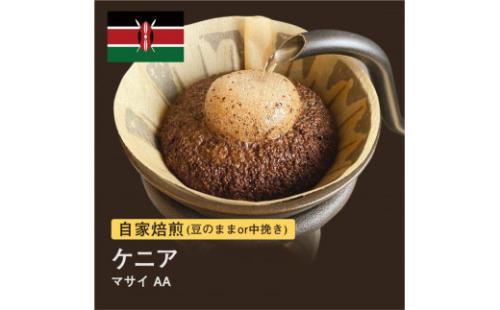 自家焙煎コーヒー！ #088 310g ケニア マサイ AA 珈琲（豆または中挽きから選択）