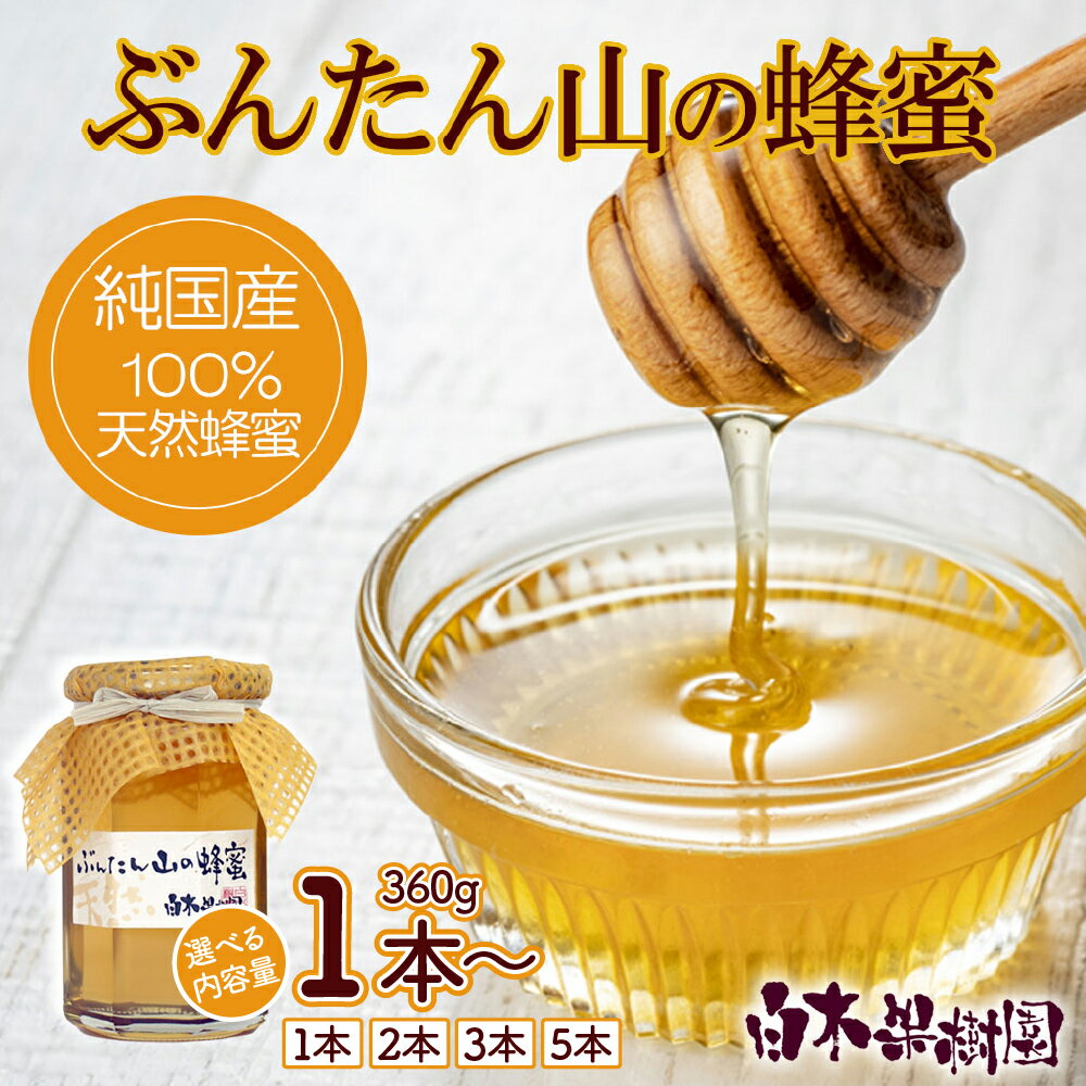 【ふるさと納税】【先行予約】爽やかな香り広がる100%天然蜂蜜 〈選べる内容量〉ぶんたん山の蜂蜜 360g 1〜5本 はちみつ ハチミツ 高知県産 国産 天然はちみつ 土佐 高知 高知県から 土佐市 こうち 返礼品【白木果樹園】[BQAI057]