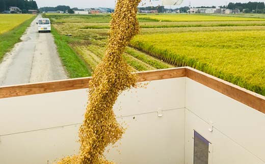 定期便 全3回 極みのササニシキ（精米）5kg 米 お米 おこめ ふるさと納税 山形県 新庄市 F3S-2428