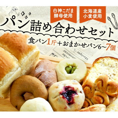 【ふるさと納税】白神こだま酵母使用 こだま食パンとおまかせパンセット【配送不可地域：離島】【1562954】