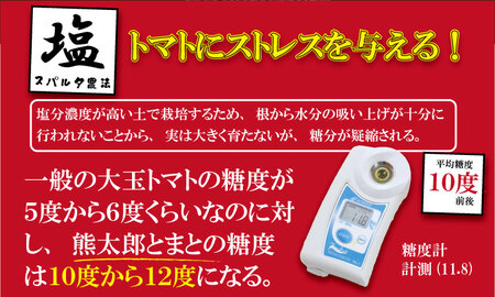 【先行予約】【令和8年1月中旬頃より出荷】熊太郎とまと（2kg）甘さ 濃縮 トマト 塩 ベアーズファーム B190-009 トマト
