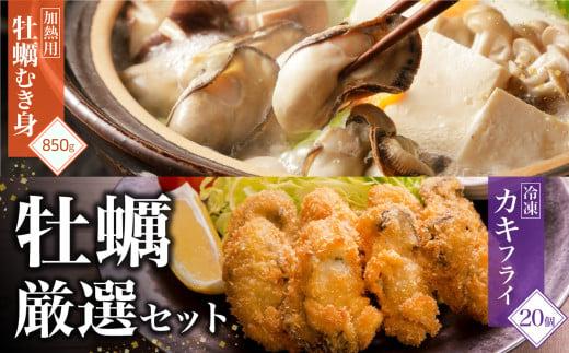
            産地直送！岡山県ひなせ産冷凍むき身牡蠣と冷凍カキフライの厳選セット
          