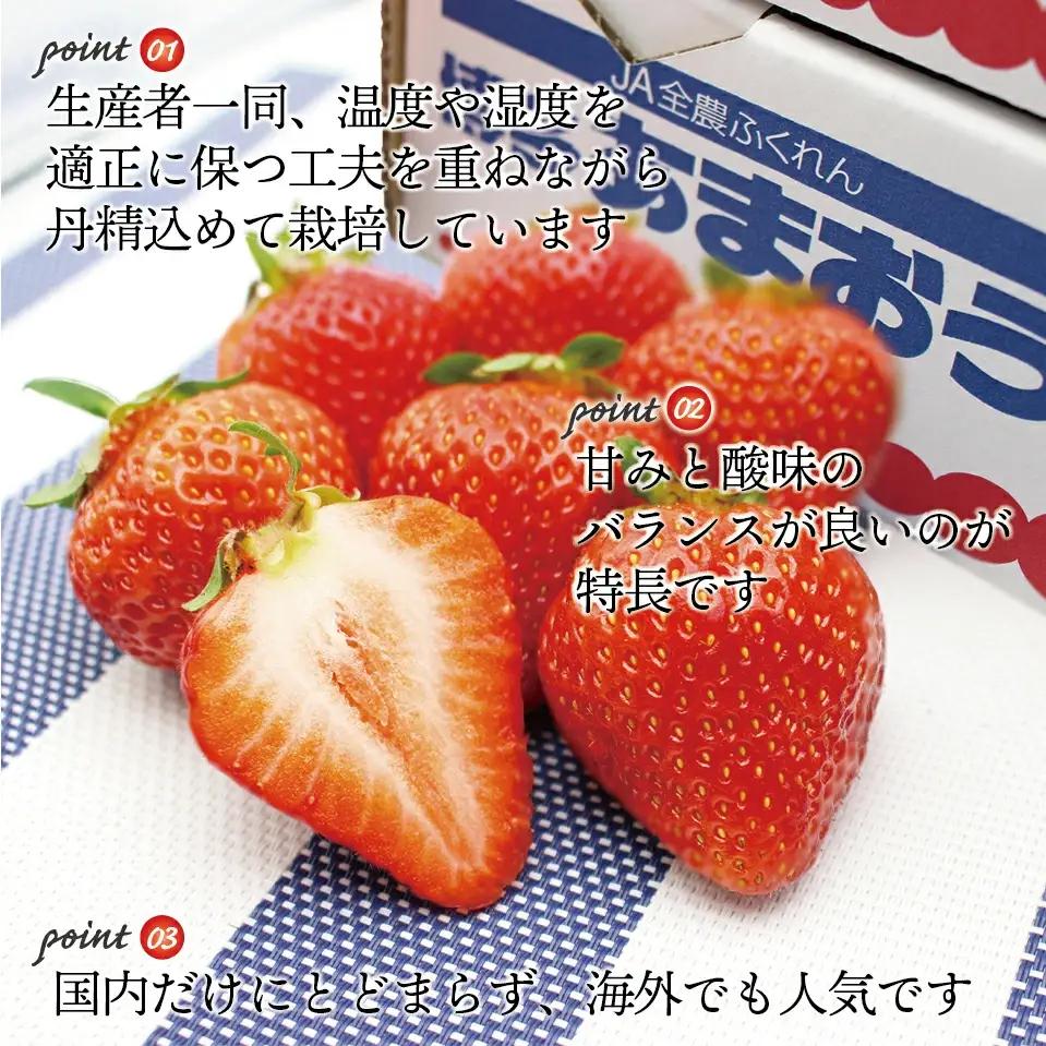 【先行予約】【2027年1月上旬より順次発送】博多あまおう 250g~270g×4パック[M868-2]