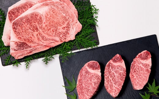 【11月発送】宮崎牛ロースステーキ＆ヒレステーキ ブランド牛豪華ステーキセット食べ比べ 牛肉 ステーキ ミヤチク 内閣総理大臣賞4連覇＜6-3＞【10月1日より寄附金額見直し】