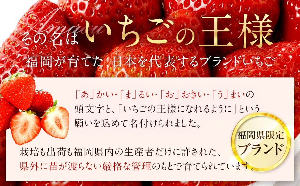 【2027年2月上旬-4月下旬発送予定】あまおう（グランデ等級以上）約250×4P