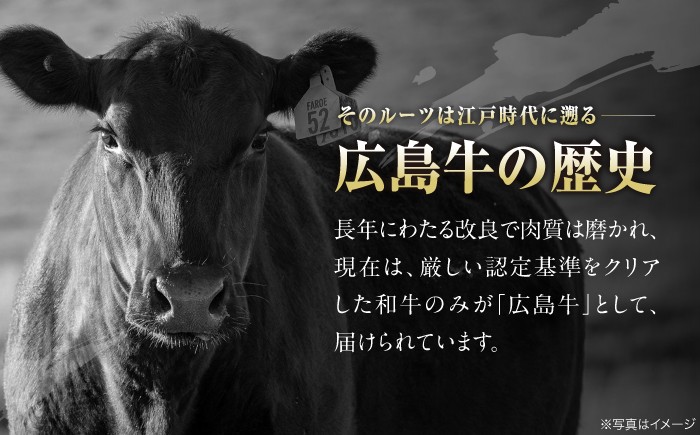 肉 牛肉 和牛 黒毛和牛 高級 広島和牛 霜降り 赤身 国産 A4 A5 等級 