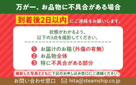 日田西瓜（すいか）【羅皇ザ・スウィート：1玉 7～9kg】 スイカ[AREW002]