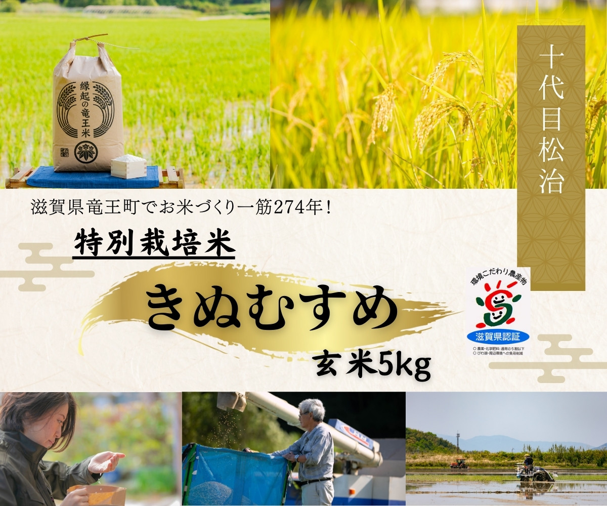 
            新米 きぬむすめ 玄米 5kg 縁起の竜王米 ( 令和7年産 先行予約 新米 玄米 5kg おこめ ごはん 米 特別栽培米 ブランド米 ライス こだわり米 ギフト 国産 縁起の竜王米 滋賀県竜王町 )
          