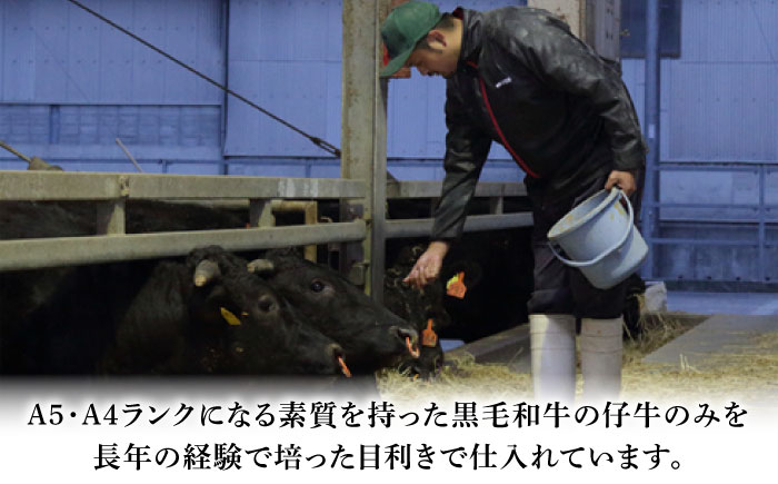 フジチク 藤彩牛 ロース 焼肉用 約400g 牛肉 黒毛和牛 国産【株式会社フジチク】 [BHAD003]
