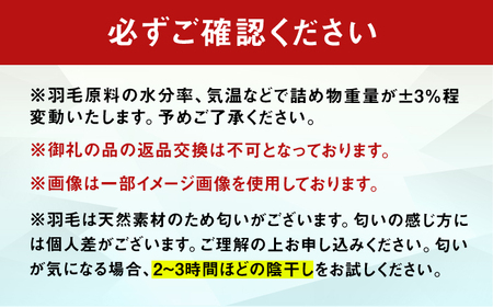 【訳あり】筑後七国羽毛ふとん ダブル 羽毛1.4kg 無地アイボリー 広川町 / ヒラモリ株式会社[AFAO034]