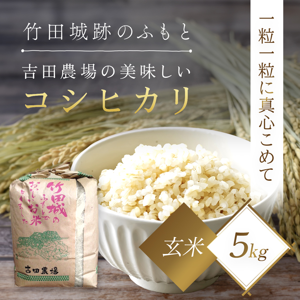 【令和6年産 新米】竹田城跡の麓 吉田農場の美味しいコシヒカリ（玄米）５kg 兵庫県 朝来市 AS1AD1 お米 米 おこめ こめ ご飯 玄米 新米