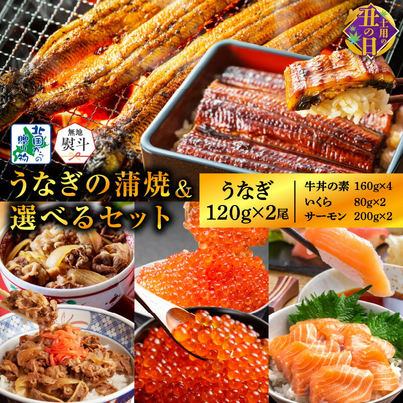 【ふるさと納税】【土用の丑の日までにお届け】 【食べ比べ】 五郎藤 国産 関西風 地焼き 有頭旨鰻 黒毛和牛で作った牛丼の素 / いくら醤油漬け / アトランティックサーモン 無地熨斗なし / 無地熨斗あり うなぎ 蒲焼 牛丼 いくら サーモン 熨斗 泉佐野市 送料無料 先行予約