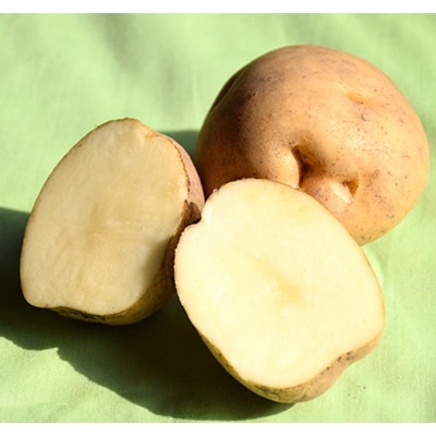 佐藤農場のじゃがいも「男爵」10kgと玉葱10kgセット【配送不可地域：離島・沖縄県】