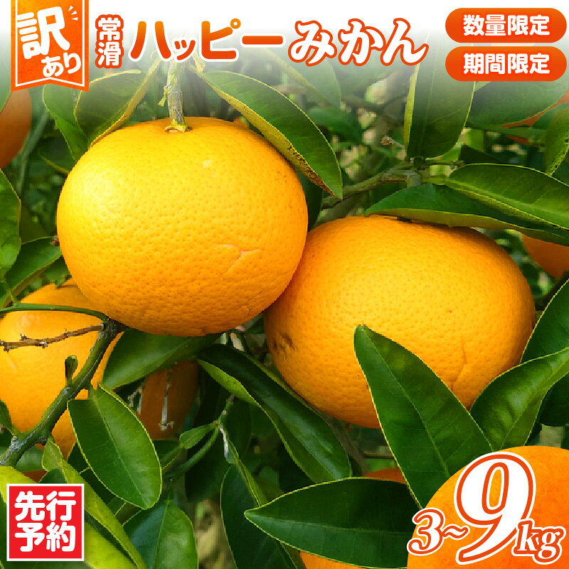 【ふるさと納税】先行予約【 訳あり 】＼数量限定／ 常滑ハッピーみかん 【選べる！3kg・9kg】みかん 果物 季節のフルーツ 柑橘 お取り寄せ 【10月下旬より順次発送】送料無料
