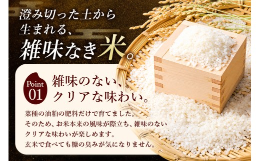 【ふるさと納税】令和8年度産 新米 玄米 ひのひかり 5kg 12ヶ月定期便 自然栽培 農薬不使用 米 お米 国産 ご飯 ごはん こめ コメ ヒノヒカリ 健康 食物繊維 腸活 ヘルシー 自然食品 ヴィ