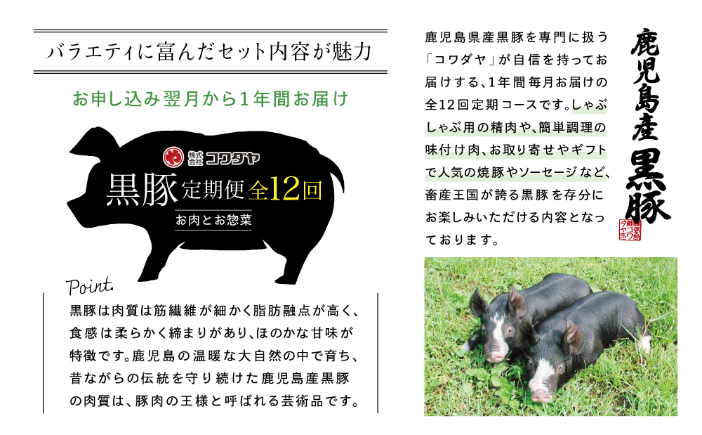 【毎月届く定期便】黒豚のプロフェッショナル「コワダヤ」の厳選黒豚味わい尽くしコース（全12回） しゃぶしゃぶ 生姜焼き 焼き豚 焼豚 ウインナー ソーセージ ロース 切落し 切り落とし 鹿児島県産 冷