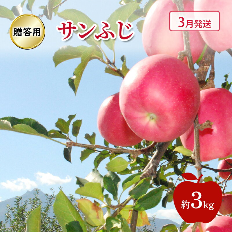【ふるさと納税】りんご 【 3月発送 】 贈答用 サンふじ 約 3kg　お届け：2026年3月1日～2026年3月29日