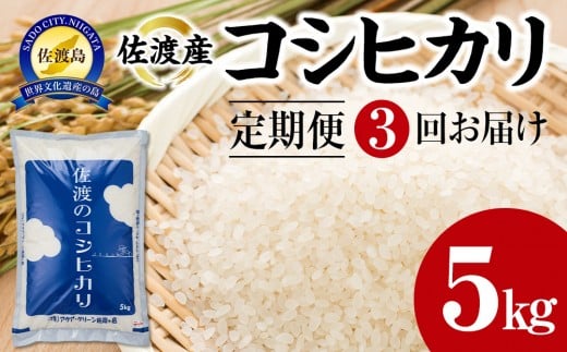 【令和7年産】【定期便3回】　佐渡産コシヒカリ　5kg
