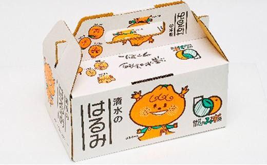 
            【2026年2月上旬より順次発送】静岡県清水生まれの美味しい柑橘「はるみ約2.5kg」【配送不可：離島】
          