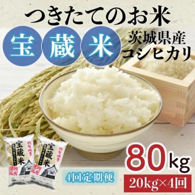 ふるさと納税 水戸市 【毎月定期便】茨城県産コシヒカリ　宝蔵米　20kg(10kg×2)精米全4回