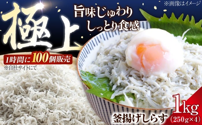 
            しらす 冷凍 鮮度抜群＆水分率80％!ふわふわ釜揚げしらす 1kg 冷凍 しらす シラス 干し 釜揚げ 小分け 魚介類 鮮魚 ギフト 料理 レシピ シラス丼 しらす丼 海鮮丼 生 生産地 おつまみ ご飯のお供 グルメ やみつき 旬 国産 広島県産 リピート ギフト プレゼント 贈答 人気 高品質 好評 保存方法 江田島市/三島水産株式会社 [XCN001]
          