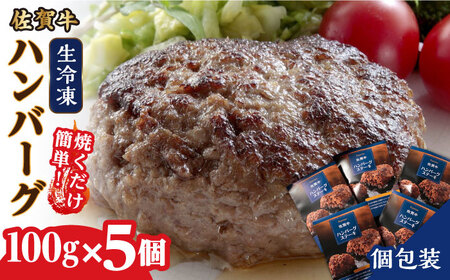 【個包装で保存に便利！】佐賀牛ハンバーグ（生冷凍）100g×5個 / 国産牛 和牛 手捏ね 時短 お手軽 簡単  / 佐賀県 / 佐賀冷凍食品株式会社 [41AHBI006]