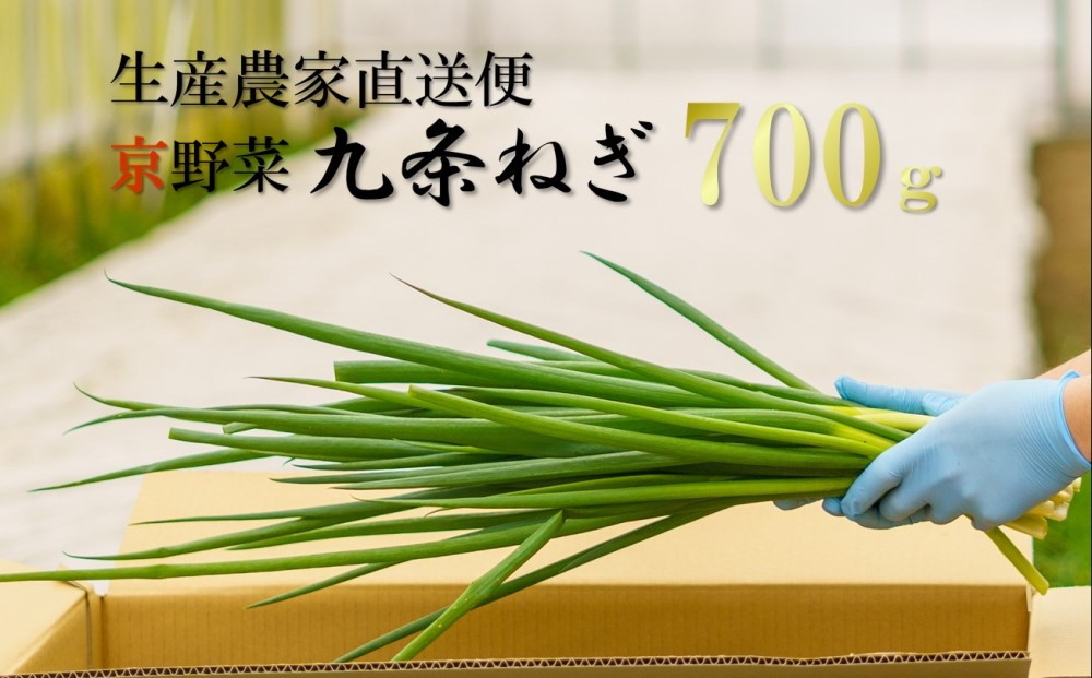 
            生産農家直送　京野菜・九条ねぎ  700g 〈ねぎ ネギ 葱 九条ねぎ 京野菜 京都 新鮮 甘い 農家直送 野菜〉 S0802
          