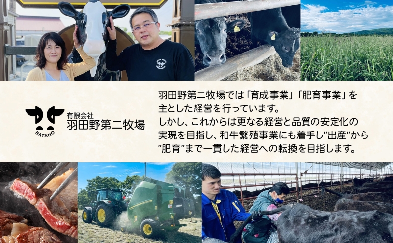 美深町 肉のはたのハンバーグ 2個 500g×2 冷凍 ギフト 詰め合わせ 和牛 牛肉 お弁当 ランチ 昼食 夕食 おかず 総菜 バーベキュー ハンドメイド 手作り 美深黒牛 ブランド 霜降り 団らん