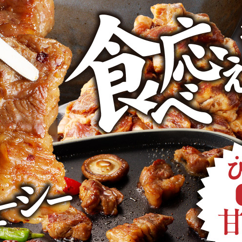 焼き肉専門店 自家製タレ漬け 中落ちカルビ 合計500g（250g×2） G1599_イメージ4