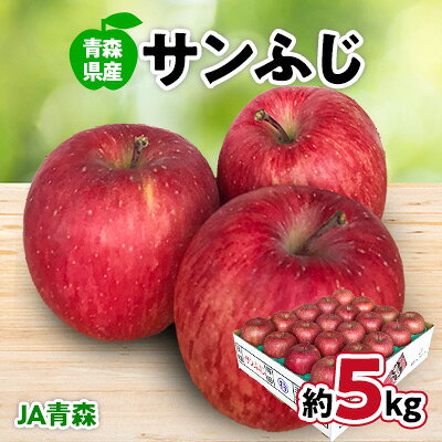 【ふるさと納税】JA青森　青森県産りんご「サンふじ」約5kg【配送不可地域：離島】【1127895】