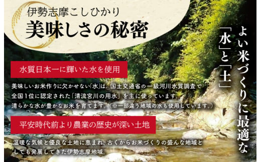【2026年9月後半発送】 令和7年 三重県産 伊勢志摩 コシヒカリ 10kg　米 白米 精米 国産 えらべる 発送時期 ふるさと納税 ふるさと コメ こめ おこめ お米 ブランド米 ふるさと納税 ふ