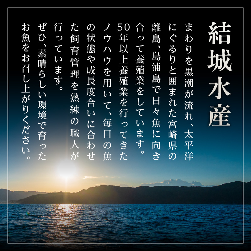 【3ヶ月定期便】(冷蔵)結城水産おすすめ！お刺身用ブロック N015-YD0239