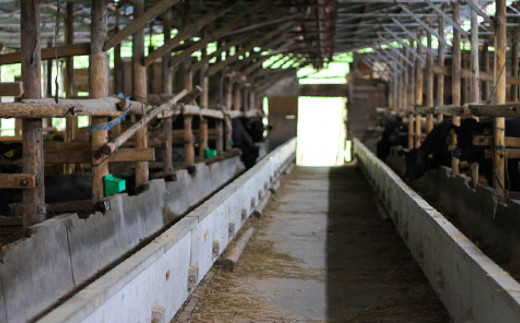 牧舎みねむら 焼肉セット600g | 長野県 東御市 牛肉 黒毛和牛 A4 A5 国産 バラ カルビ モモ 肩 ロース 小分け 冷凍