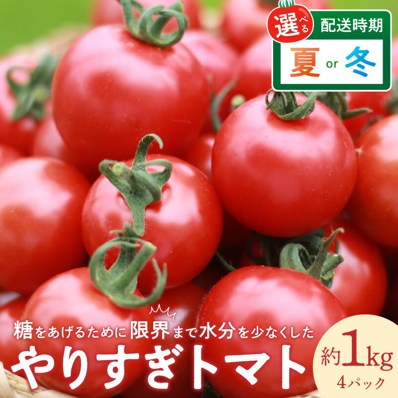 【ふるさと納税】高評価★5.0 高レビュー★ 【先行予約】やりすぎトマト（4パック計約1kg）（夏季）（2026年6月上旬以降発送）（冬季）（2026年12月上旬以降発送） 選べる 配送月 国産 ミニトマト ミディトマト プチトマト お野菜 野菜 とまと 高糖度 甘い 濃縮 濃厚