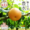 【ふるさと納税】【 ランキング 1位 獲得!! 】 極上の雫 『 豊水 』 5kg ( 自家用 ) 2025年産 先行予約 フルーツ 果物 国産 日本産 梨 ナシ なし 和梨