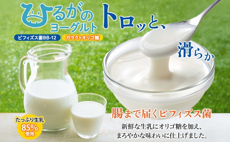 ひるがの牛乳 まごころギフト セット ヨーグルト ミルクプリン 各80g×12個 計24個 プリン 白いプリン 牛乳プリン 乳製品 人気 ギフト おやつ スイーツ ご褒美 送料無料 美濃酪連 岐阜県 