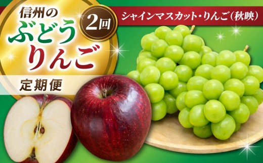 
                  【2回定期便】信州のぶどう・りんご（シャインマスカット・秋映）｜JA信州うえだ農業協同組合 長野県 東御市産
                