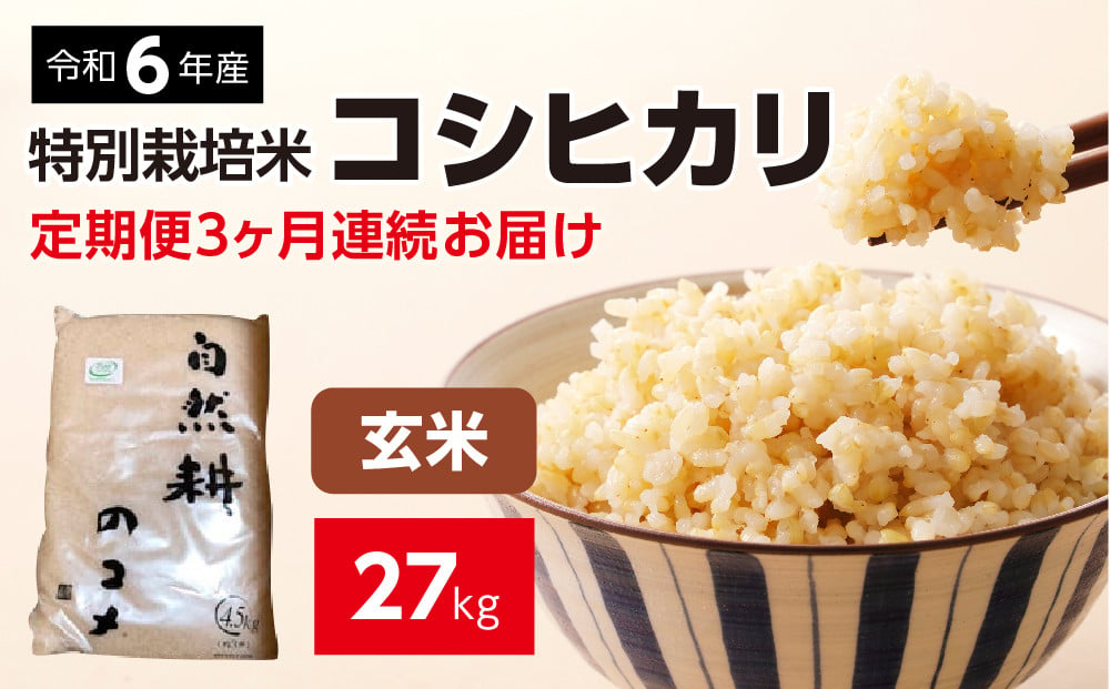 
新米【定期便】 令和六年産 特別栽培米コシヒカリ9kg（4.5kg×2袋）玄米 「3ヶ月連続お届け」合計27kg 定期便 玄米 お米 ブランド米 ライス 炭水化物 ご飯 主食 食卓 おにぎり お弁当 ミネラル米 こしひかり ごはん こめ コメ 産地直送 国産 茨城県産 常総市 運動会 アウトドア キャンプ
