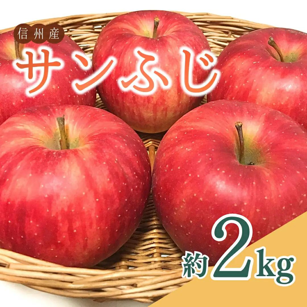 【2026年先行予約】ザ・王道 りんご サンふじ 約2kg |りんご