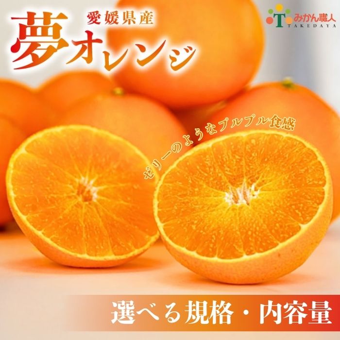 【ふるさと納税】高評価★4.43 選べる 夢オレンジ 1kg 2kg 3kg 5kg 訳あり 小玉 特選品 贈答用 オレンジ 柑橘 プレゼント 果物 蜜柑 おれんじ 愛媛 かんきつ ふるさと納税 まどんな 愛果28号 みかん 柑橘 くだもの フルーツ 愛媛県 愛南町 みかん職人武田屋