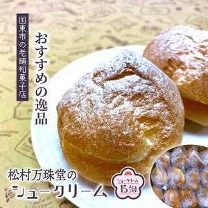 1756R_50年変わらない味！地元で人気のシュークリーム15個