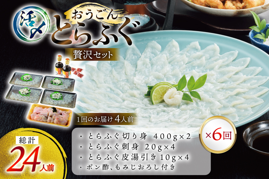 ふぐ 刺身 ふぐ鍋セット 活〆 おうごんとらふぐ 贅沢セット 4人前 6回 定期便 [松永水産 長崎県 平戸市 hr42bgy400073] ふぐ刺し とらふぐ フグ 河豚 てっさ てっちり ふぐ鍋 