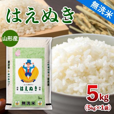 ふるさと納税 山形市 令和7年産 【無洗米】 山形産 はえぬき 5kg FY25-351