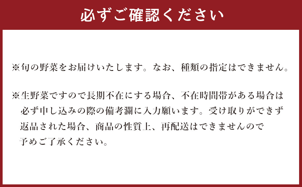 【6ヶ月定期便】生産者応援 採れたて新鮮 旬のお野菜 詰め合わせセット