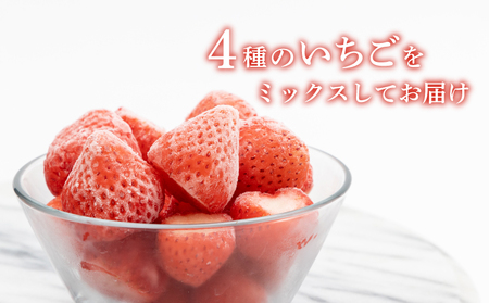 冷凍いちご 5袋詰合せセット｜いちご　イチゴ　苺　冷凍いちご　フローズン　