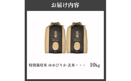 【特別栽培米】令和7年産 滝川産ゆめぴりか【玄米】10kg 特A ブランド米 北海道 | 米 こめ お米 単一米