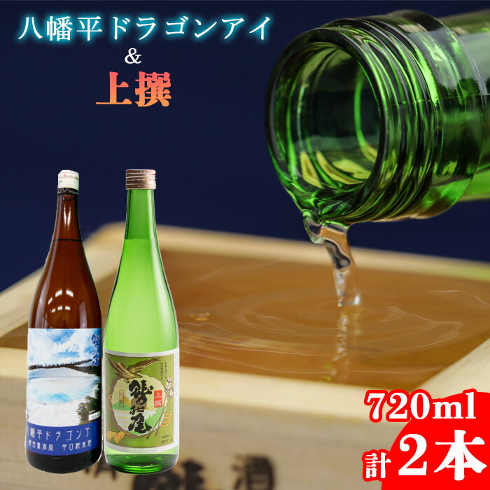 【ふるさと納税】 日本酒 おすすめ 「八幡平ドラゴンアイ 」 「上撰 」 720ml 2本 セット ／ 地酒 お酒 酒 飲み比べ 家飲み 宅飲み 晩酌 お取り寄せ お取寄せ 贈り物 贈物 お土産 手土産 おみやげ ギフト プレゼント 人気 鷲の尾 わしの尾 澤口酒店 岩手県 八幡平市 送料無料